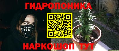 каннабис Жуковский
