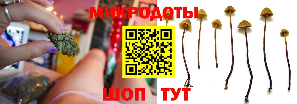 Галлюциногенные грибы Magic Shrooms  наркота  Советск  Вход с VPN 